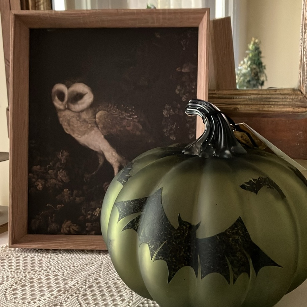 NEW - Mystical Owl Framed Art - Picture 6 of 7